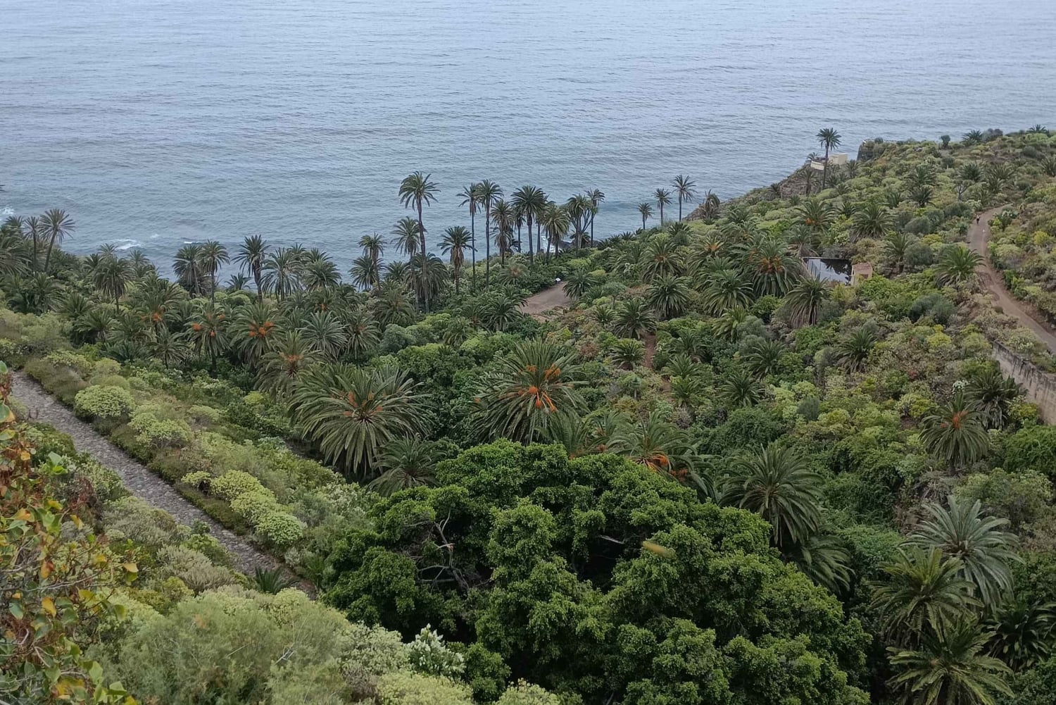 Tenerife: North Coast Landscapes Private Day Tour