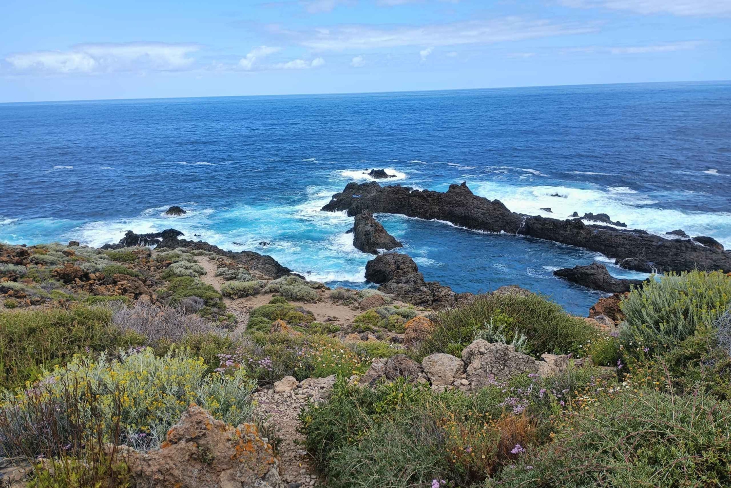 Tenerife: North Coast Landscapes Private Day Tour