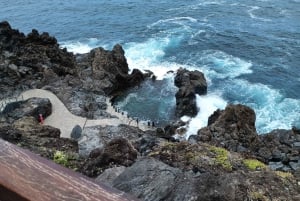 Tenerife: North Coast Landscapes Private Day Tour