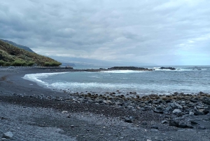 Tenerife: North Coast Landscapes Private Day Tour