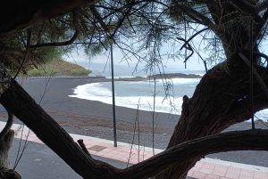 Tenerife: North Coast Landscapes Private Day Tour