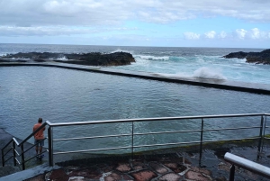Tenerife: North Coast Landscapes Private Day Tour