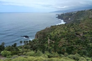 Tenerife: North Coast Landscapes Private Day Tour