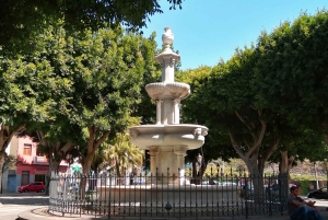 Tenerife: Santa Cruz, La Laguna and Anaga Tour