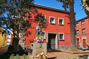 Tenerife: Santa Cruz, La Laguna and Anaga Tour