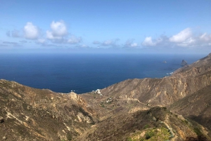 Tenerife: Santa Cruz, La Laguna and Anaga Tour
