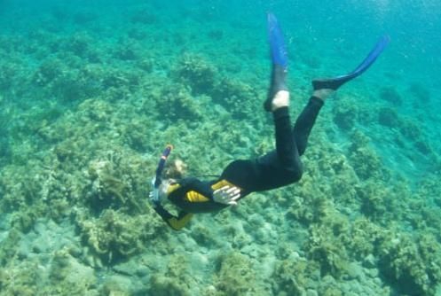 Aegean Divers