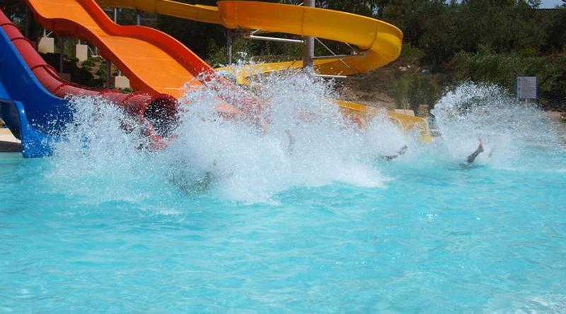 Eleon Animation & Entertainment