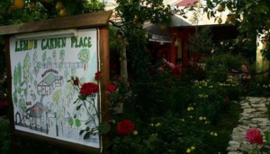 Lemon Garden