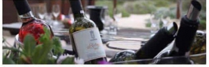 Amorgos Wine Days 2017