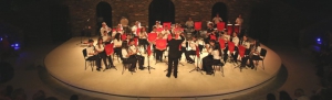 The Philharmonic Orchestra of the Music Association of Andros