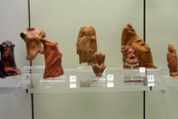 Archaeological sites and Monuments