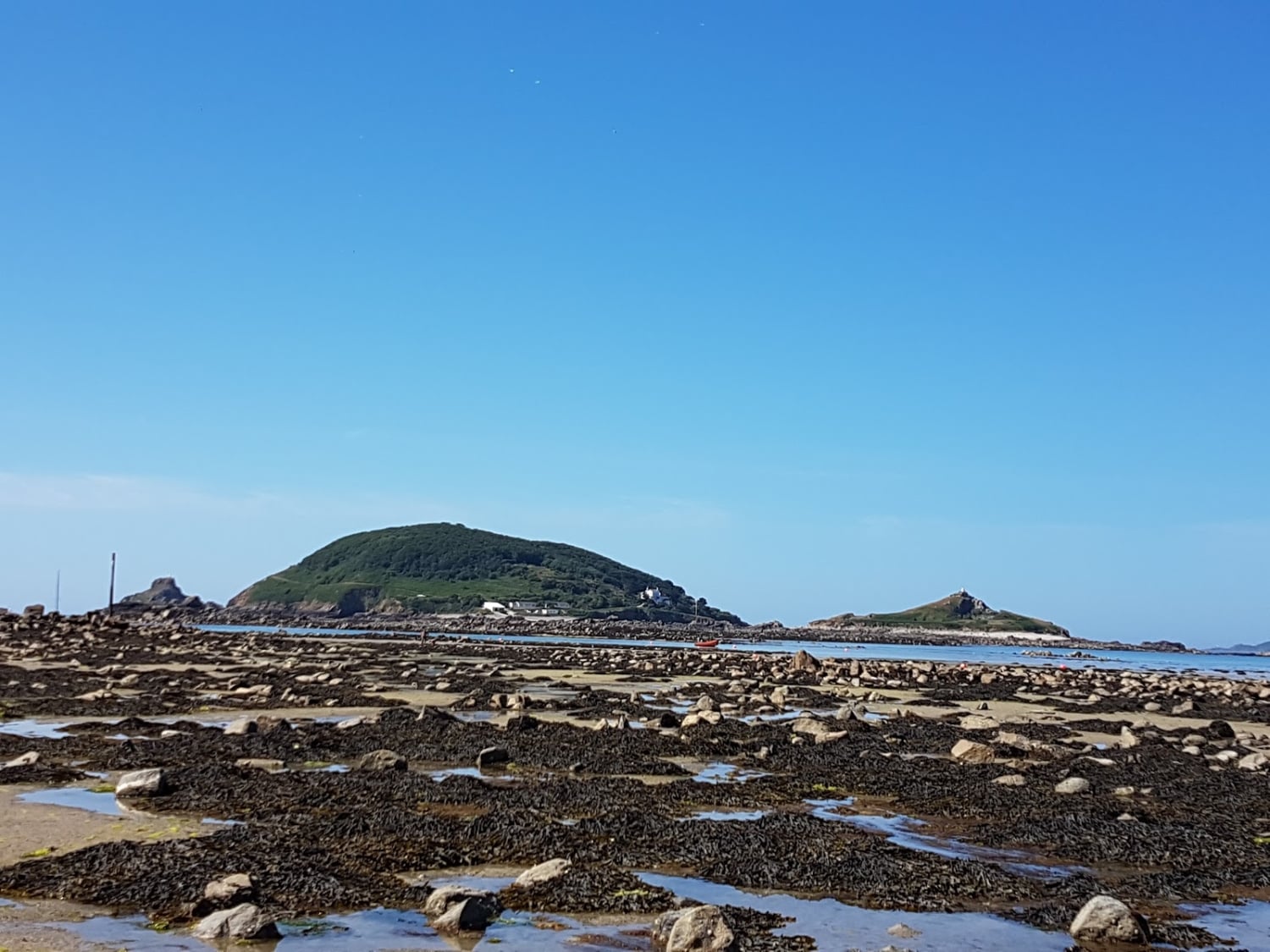 Alderney Point