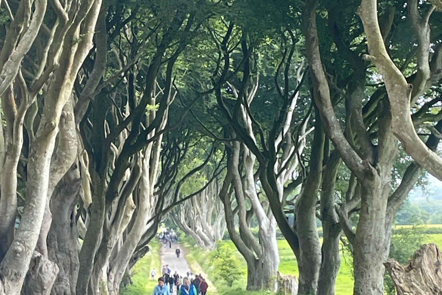 Giants causeway 4 timmars rundtur inklusive biljetter