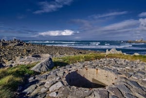 Guernsey: Half-Day Island Shore Excursion Tour