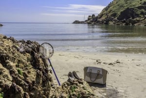 Guernsey: Half-Day Island Shore Excursion Tour