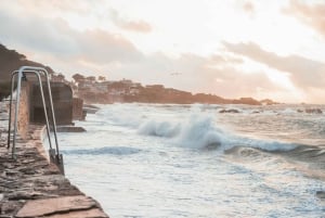 Guernsey: Half-Day Island Shore Excursion Tour