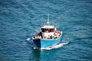 Guernsey: Unrivalled Coastal Tour to Saint's Bay Harbour