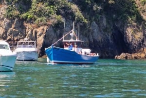 Guernsey: Unrivalled Coastal Tour to Saint's Bay Harbour