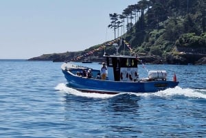 Guernsey: Unrivalled Coastal Tour to Saint's Bay Harbour