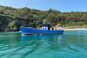 Guernsey: Unrivalled Coastal Tour to Saint's Bay Harbour