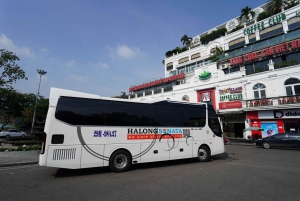 Halongin päiväristeilyn kohokohdat suurten ja pienten ryhmämatkojen kanssa