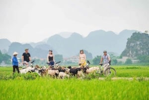 12 jours à travers le Vietnam | Découvrez les lieux les plus célèbres