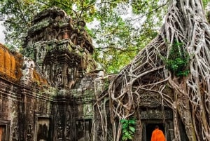 Visite privée de 13 jours : les points forts du Cambodge et du Viêt Nam