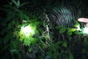 2-dniowa wycieczka z Hanoi do Sapa: wioska Cat Cat i szczyt Fansipan