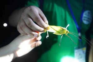 2-dniowa wycieczka z Hanoi do Sapa: wioska Cat Cat i szczyt Fansipan