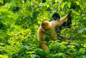 2-dniowa wycieczka z Hanoi do Sapa: wioska Cat Cat i szczyt Fansipan