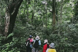 2-dniowa wycieczka z Hanoi do Sapa: wioska Cat Cat i szczyt Fansipan