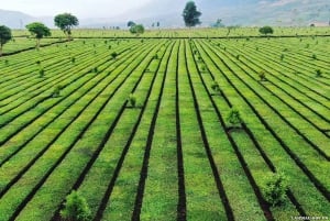 2-Day Motorbike Tour to Mu Cang Chai Loop from Sapa