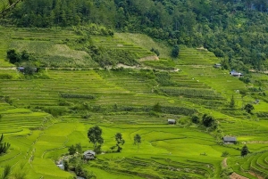 Excursão de 2 dias de moto a Mu Cang Chai Loop saindo de Sapa