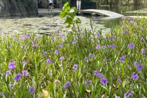 2-tägige Tour: Ninh Binh Trang An, Tam Coc, Thung Nham Vogelpark