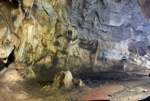 2-tägige Tour: Ninh Binh Trang An, Tam Coc, Thung Nham Vogelpark