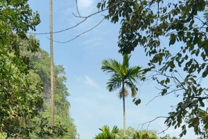 2-tägige Tour: Ninh Binh Trang An, Tam Coc, Thung Nham Vogelpark