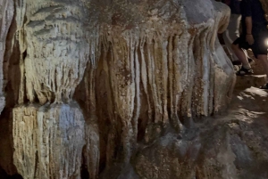 2-tägige Tour: Ninh Binh Trang An, Tam Coc, Thung Nham Vogelpark