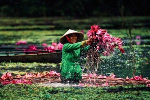 2-tägige Tour: Ninh Binh Trang An, Tam Coc, Thung Nham Vogelpark
