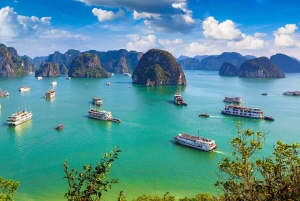 2-dagars 5-stjärnig kryssning i Halongbukten med måltider och kajakpaddling