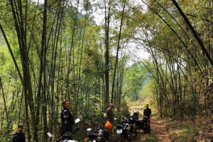 2 Day Scenic Escape To Mai Chau Pu Luong Nature Reserve Tour