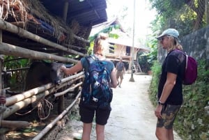 2 Day Scenic Escape To Mai Chau Pu Luong Nature Reserve Tour