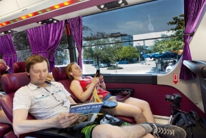 2-Day Sa Pa Ethnic Homestay Tour & Trek with Limousine Bus