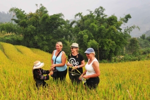 2-Day Sa Pa Ethnic Homestay Tour & Trek with Limousine Bus