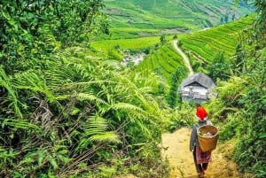 2 Tage Sapa-Bac Ha Markt: Nachtzug & Übernachtung in einer Gastfamilie