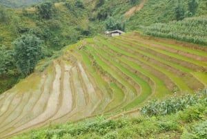 2 Tage Sapa-Bac Ha Markt: Nachtzug & Übernachtung in einer Gastfamilie