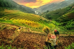 2-Day Sapa Tour - Overnight in Ta Van Village (All in One)