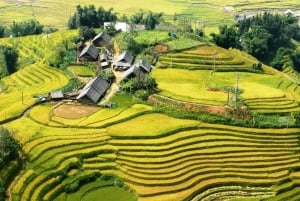 2-Day Sapa Tour - Overnight in Ta Van Village (All in One)