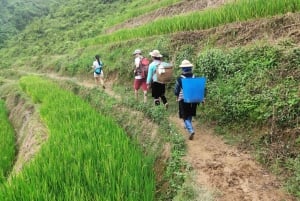 2-Day Sapa Tour - Overnight in Ta Van Village (All in One)
