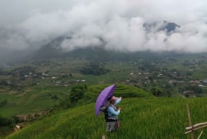 2-Day Sapa Tour - Overnight in Ta Van Village (All in One)